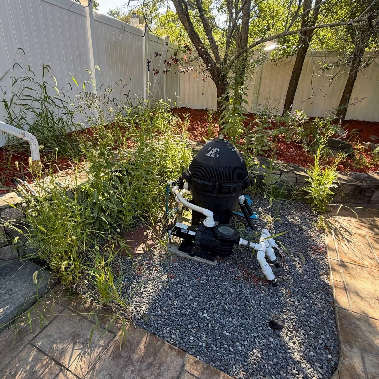 Before: weeds swallowing a pool-equipment corner