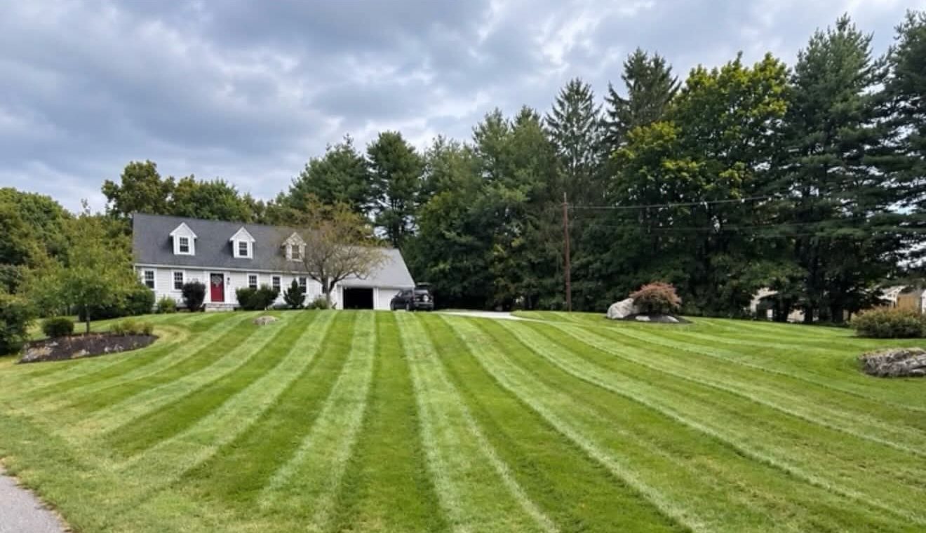 Big front lawn with fresh mowing stripes in front of a cape house
